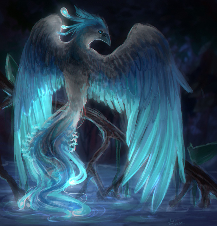 phoenix fantasy creatures lake blue drawing