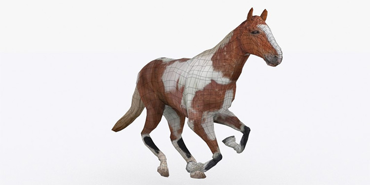 Rigged horse creature