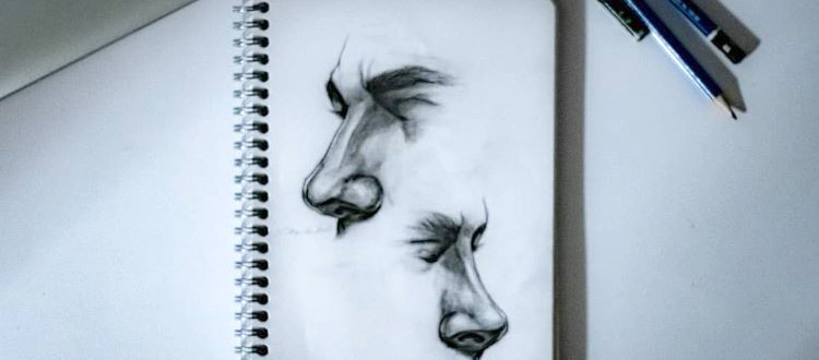 Detailed human noses - anatomy study