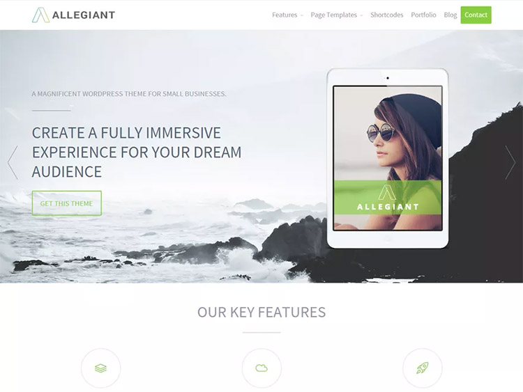 Allegiant wp theme