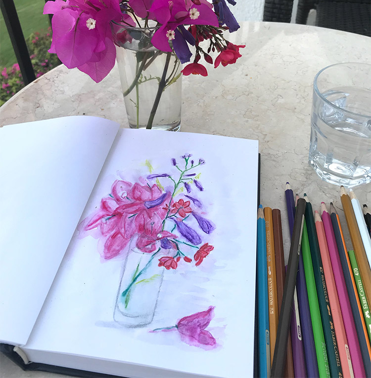 What Are Watercolor Pencils & How Are They Different from Colored Pencils?