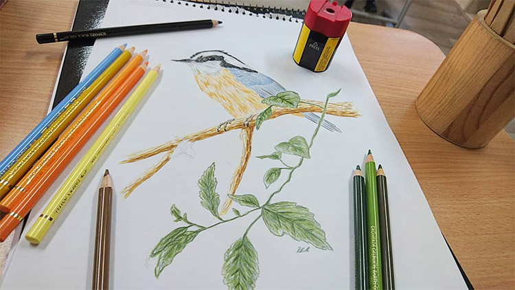 Sample watercolor pencil drawingbook