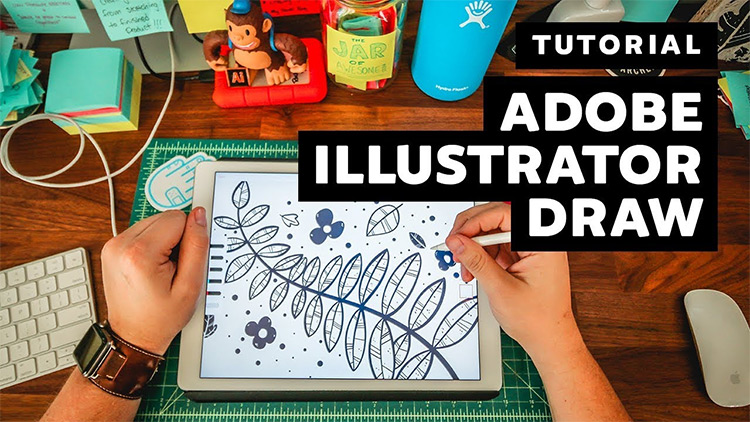 Draw on adobe illustrator - volplanning