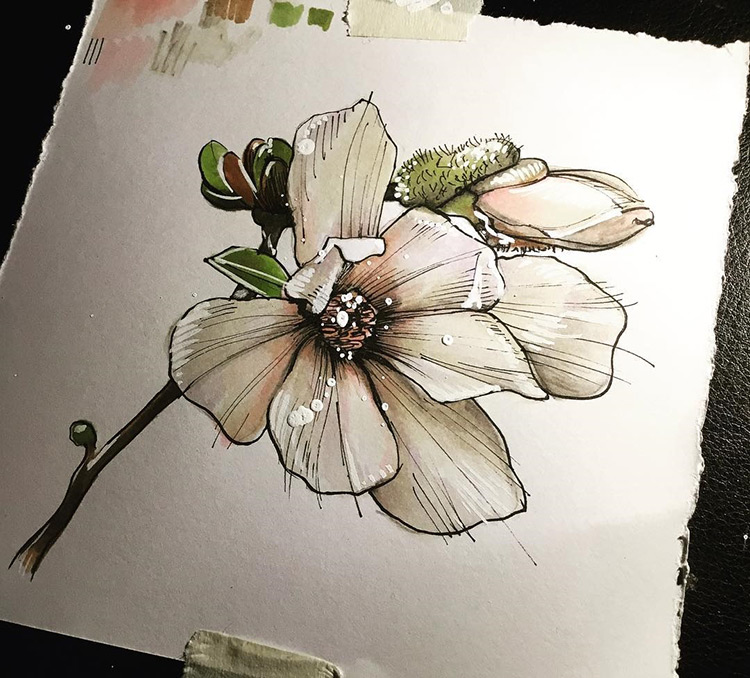 Featured image of post Cute Flower Drawings Hard - Easy drawing ideas for cool things to draw when you are bored.