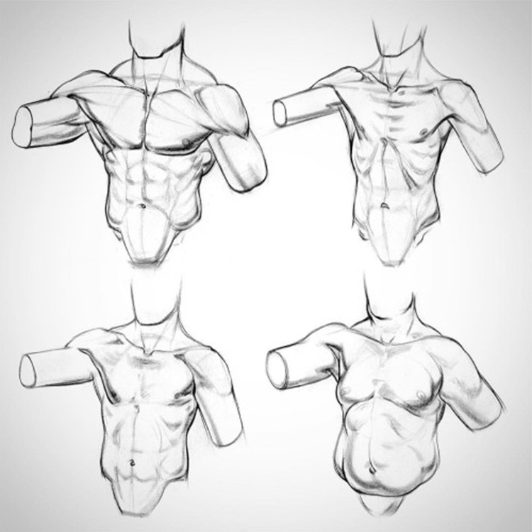 proko anatomy chest drawing course