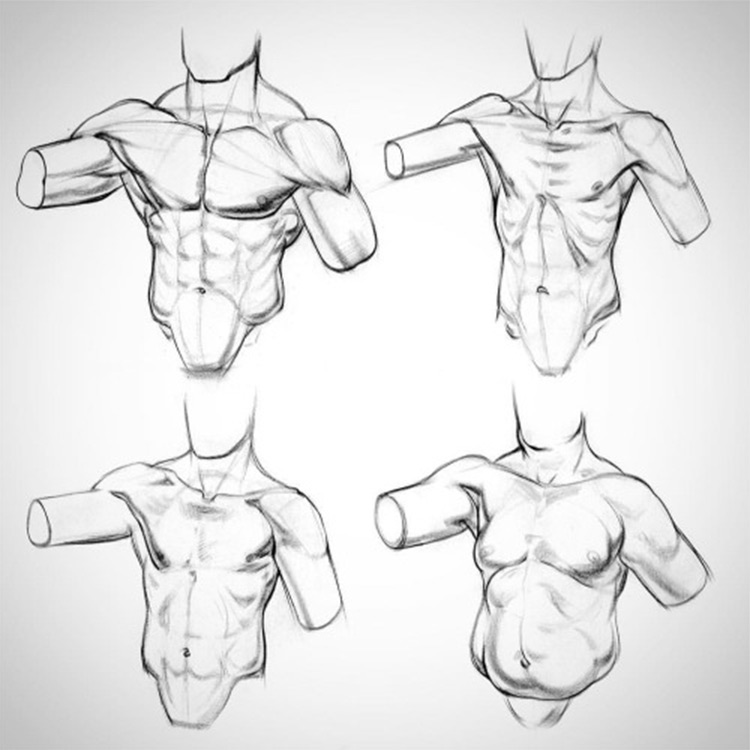 Basic Human Anatomy — Alex Escobar | Art & Animation