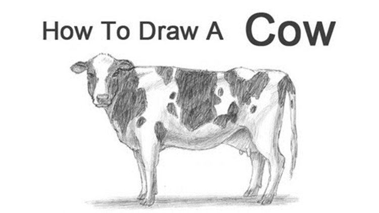 how to draw cartoon animals - Barnett Gallery-saigonsouth.com.vn