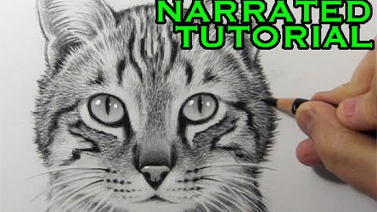 How to draw a cute tiger easy step by step - Cute animal drawings