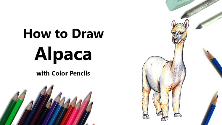 Prismacolor Technique Art Supplies with Digital Art Lessons Drawings Set  Level 1 How to Draw Animals with Colored Graphite Pencils and More Fox Drawing  Lesson 26 Count Animal Level 1