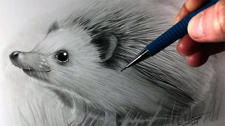 3 Important Techniques for Drawing Realistic Animals