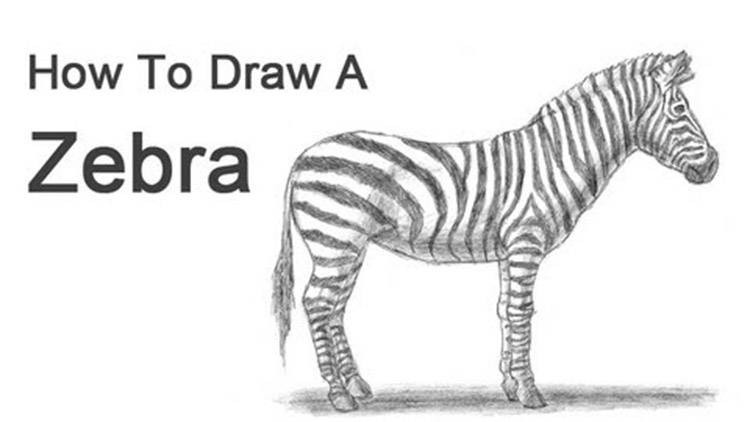 See drawing tutorial video or drawing demonstration video of how to draw.