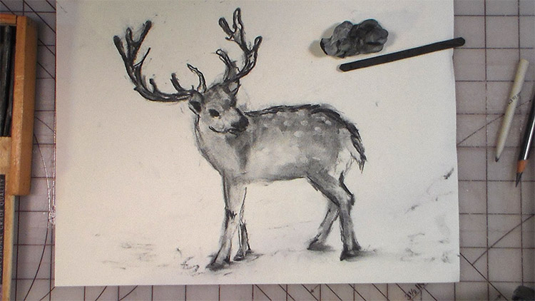 step by step drawing realistic animals