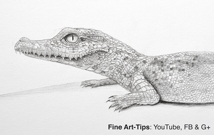 How To Draw Animals 50 Free Tutorial Videos To Help You Learn Step By Step