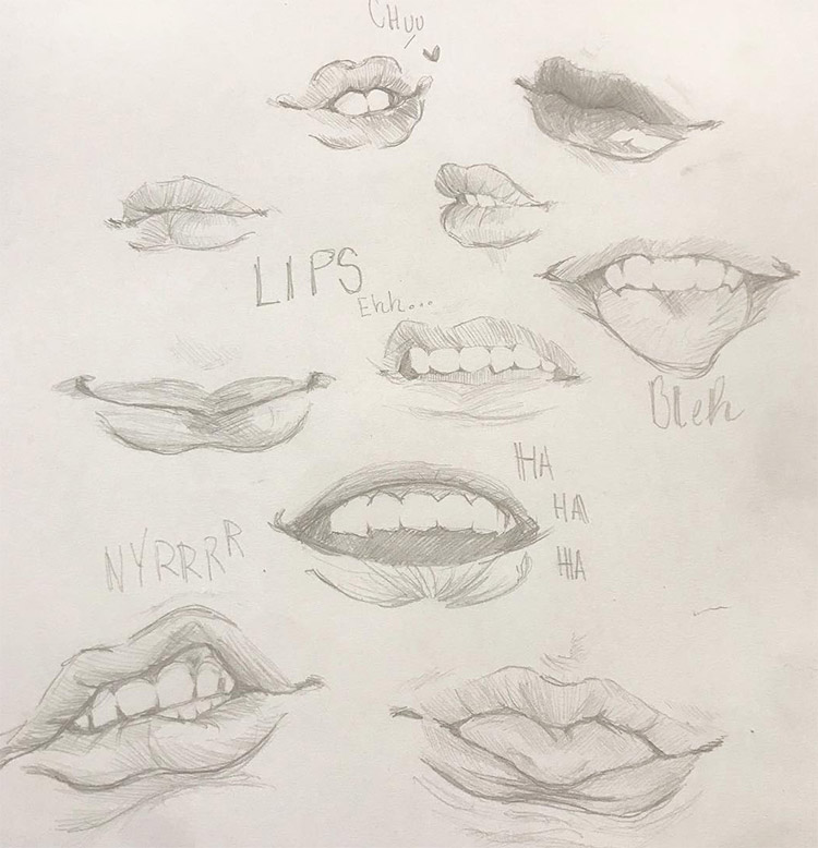 Mouth and lip studies