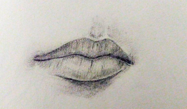 Detailed realist lips and mouth