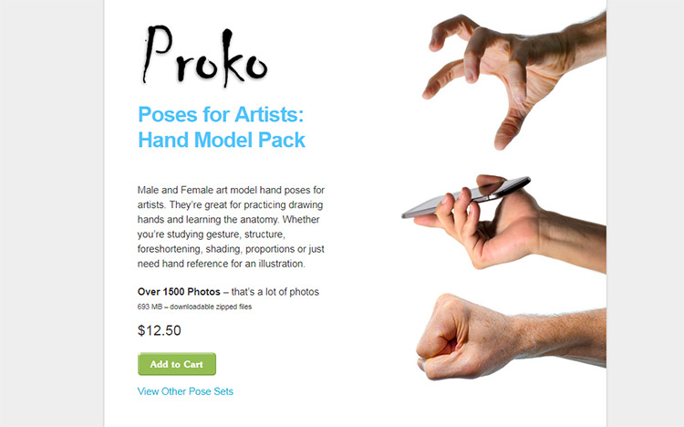 Proko hand photo reference set