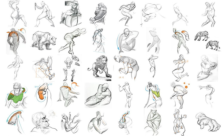 DrawingForce sketches