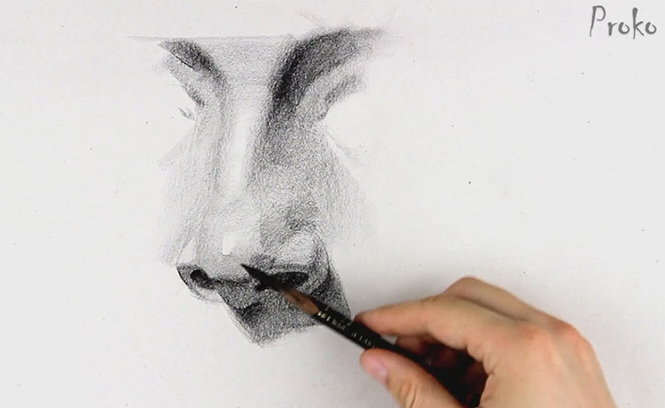 drawing nose portrait fundamentals