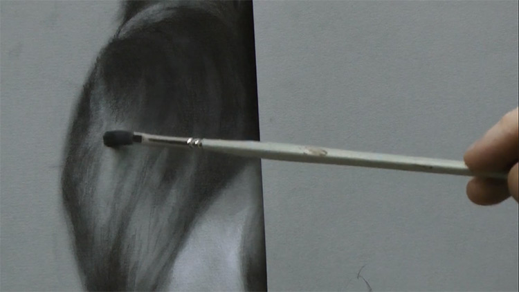 Vitruvian portrait brushing