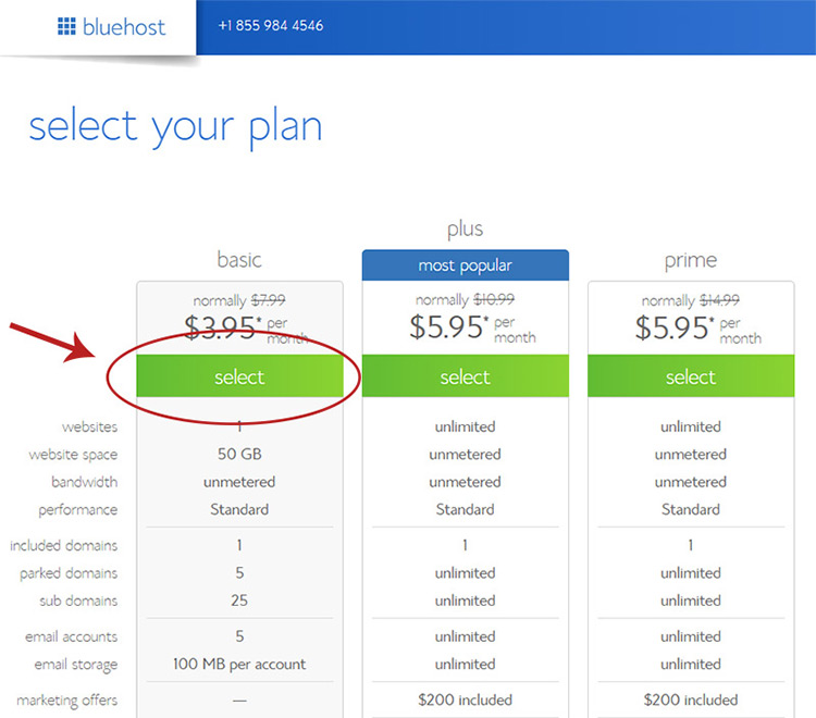 select your hosting plan