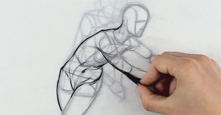 Proko figure drawing course