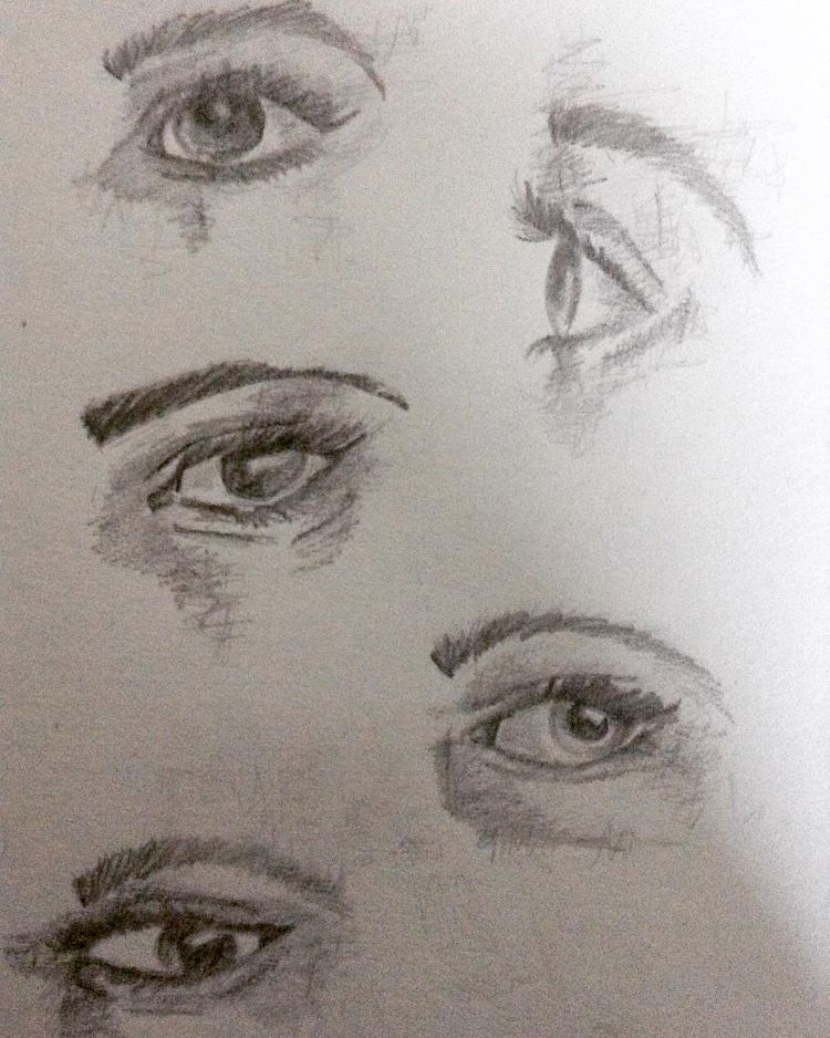 Draw a labeled sketch of the human eye