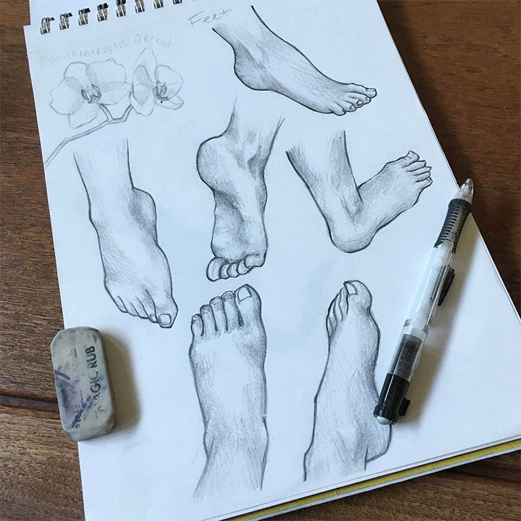 Free Vectors  Line drawing of the sole of the foot