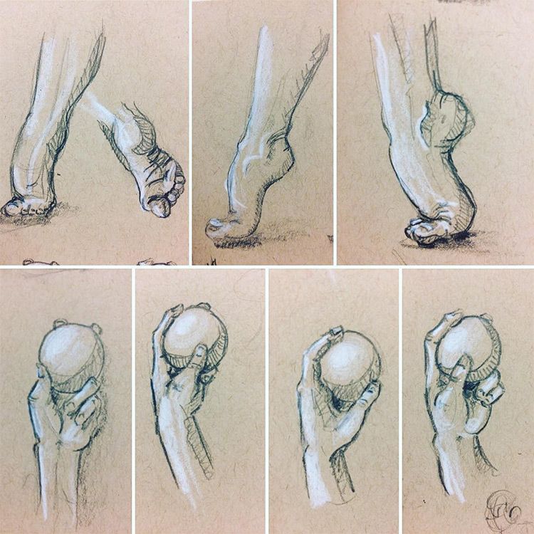 Feet and hands drawn in realist style