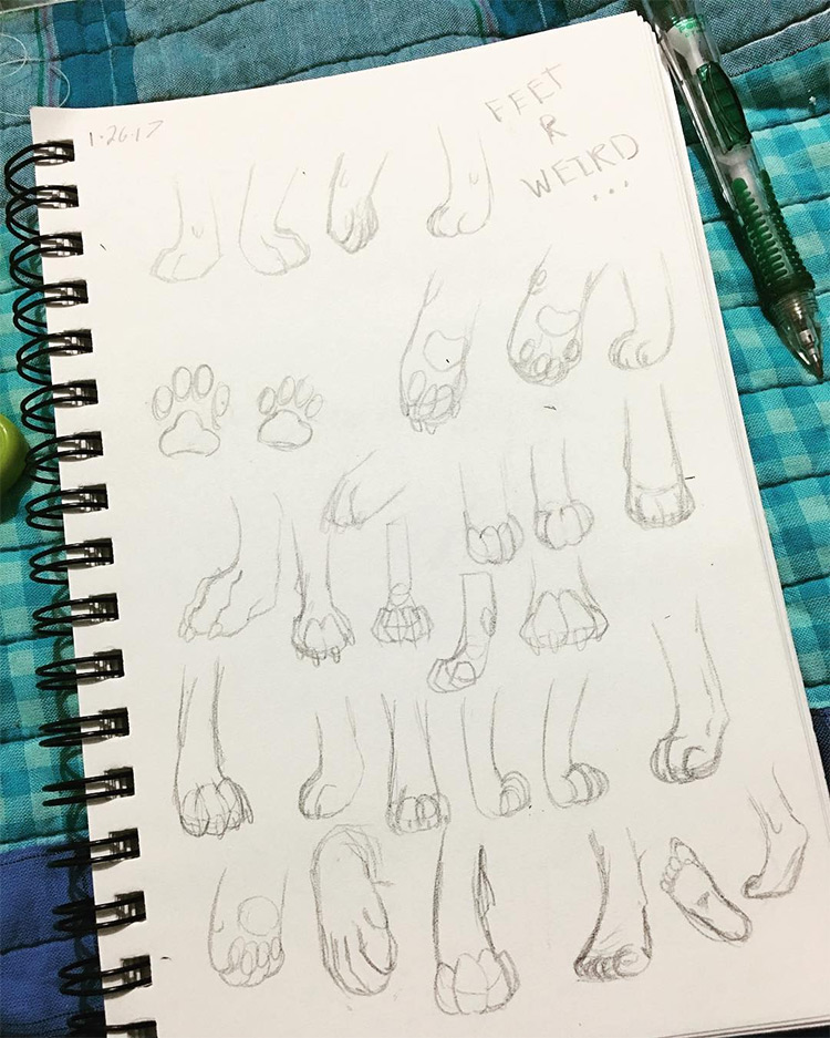 Practice drawings of feet