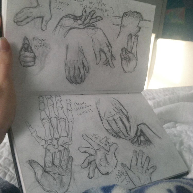 skeleton hand  Skeleton drawings, Bone drawing, Sketchbook art inspiration