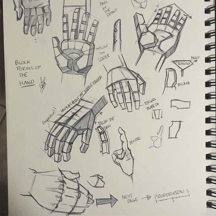 100 Drawings Of Hands Quick Sketches Hand Studies