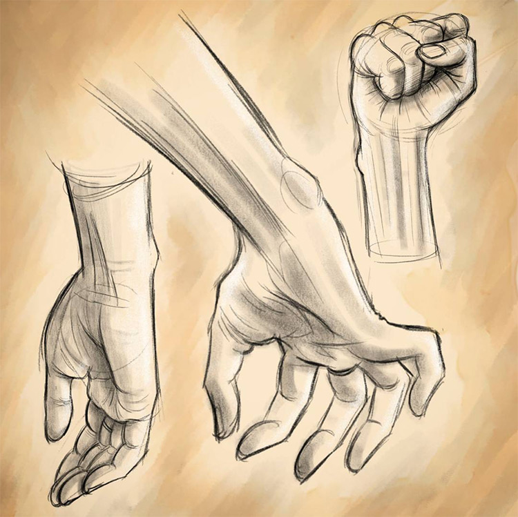 Featured image of post The Best 16 Hand Fist Drawing Reference