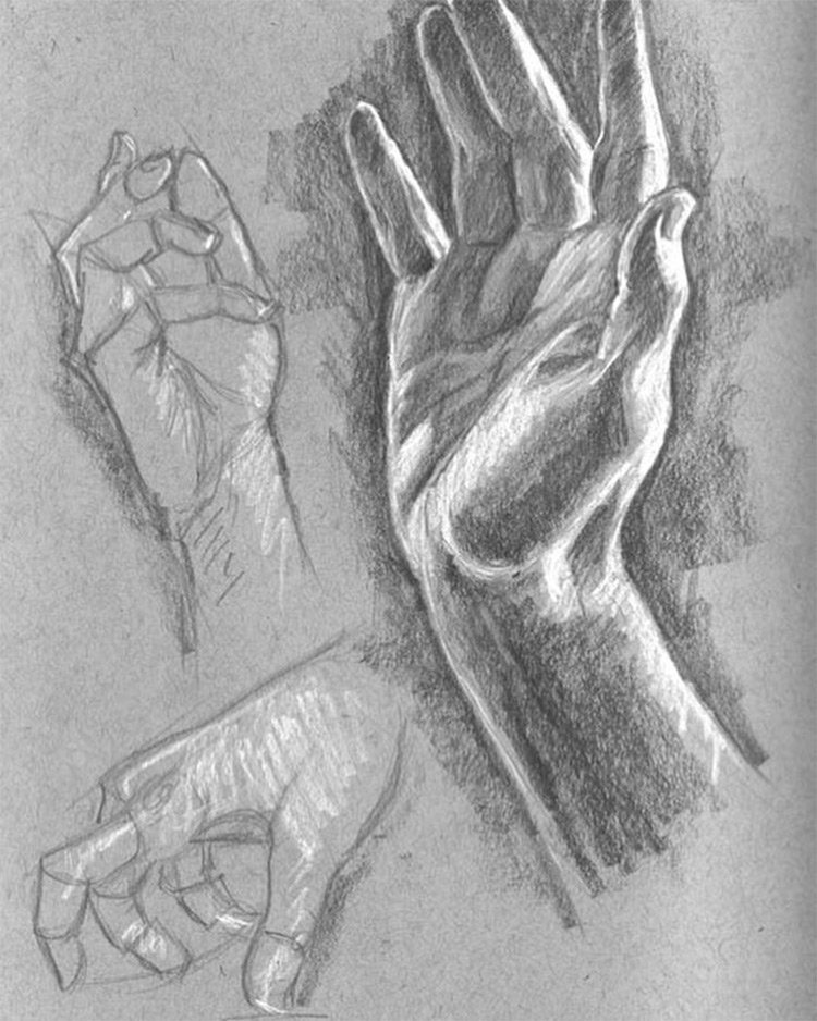 100 Drawings Of Hands Quick Sketches Hand Studies