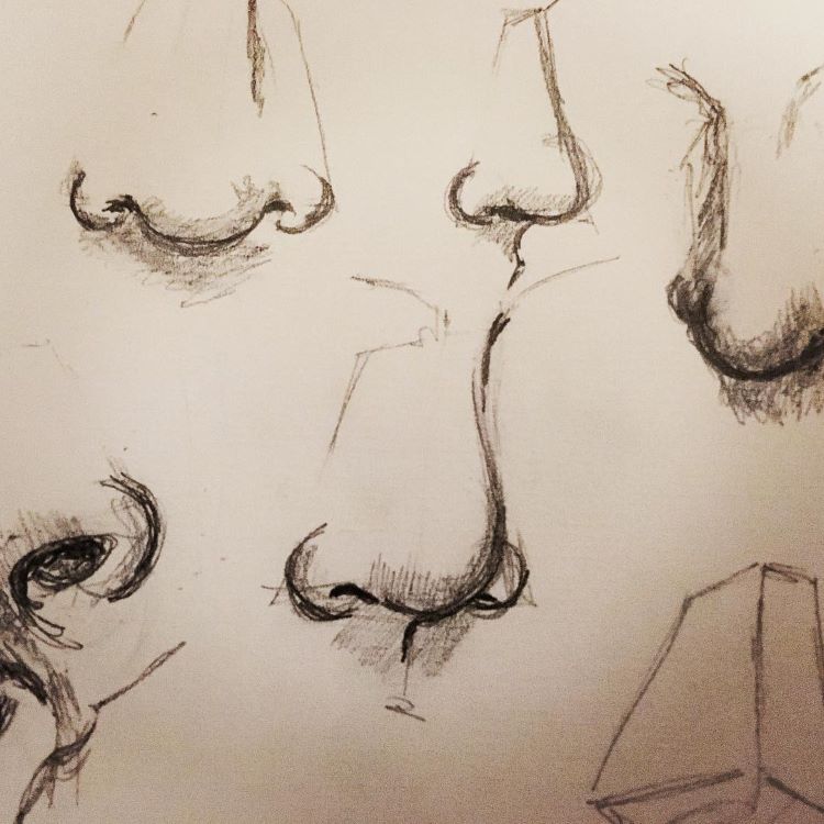 quick sketches of human noses