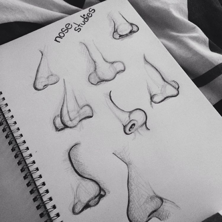 Sketchbook practicing noses