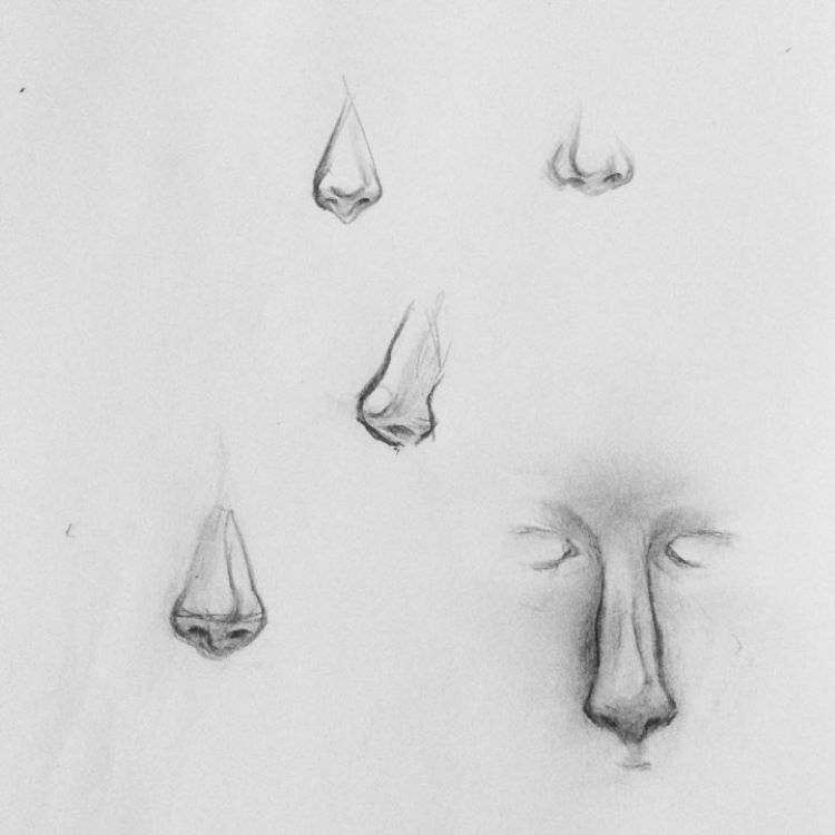 Drawings of noses quick