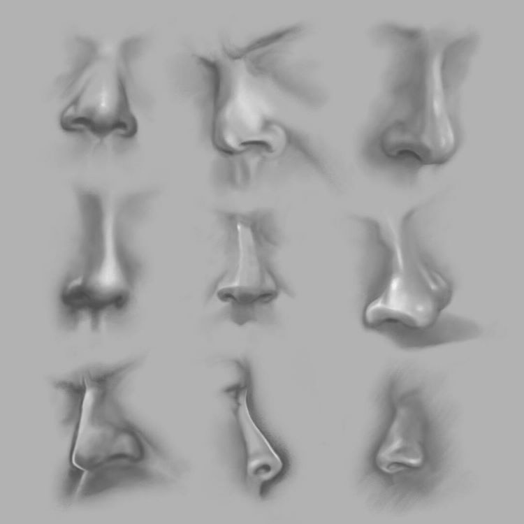 Toned grey paper nose drawings