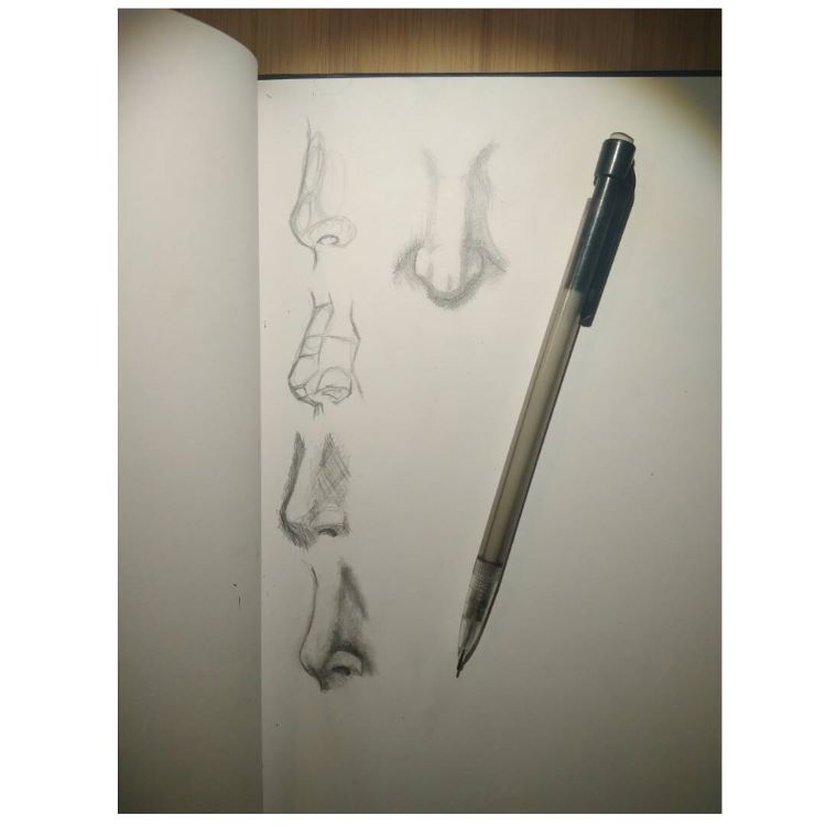 Pencil drawings of noses
