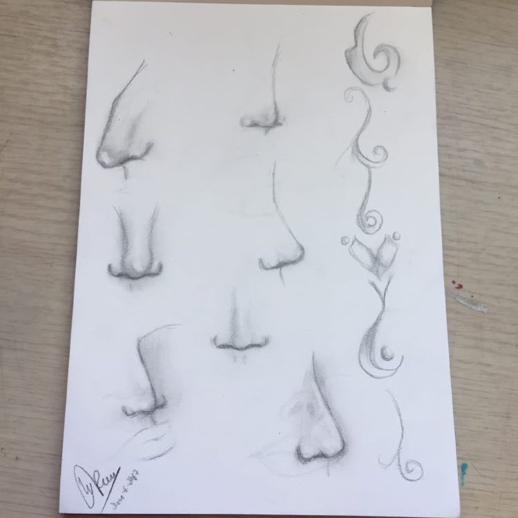 Noses drawn for practice