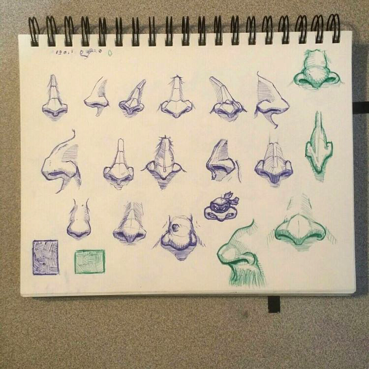 Purple pencil drawings noses