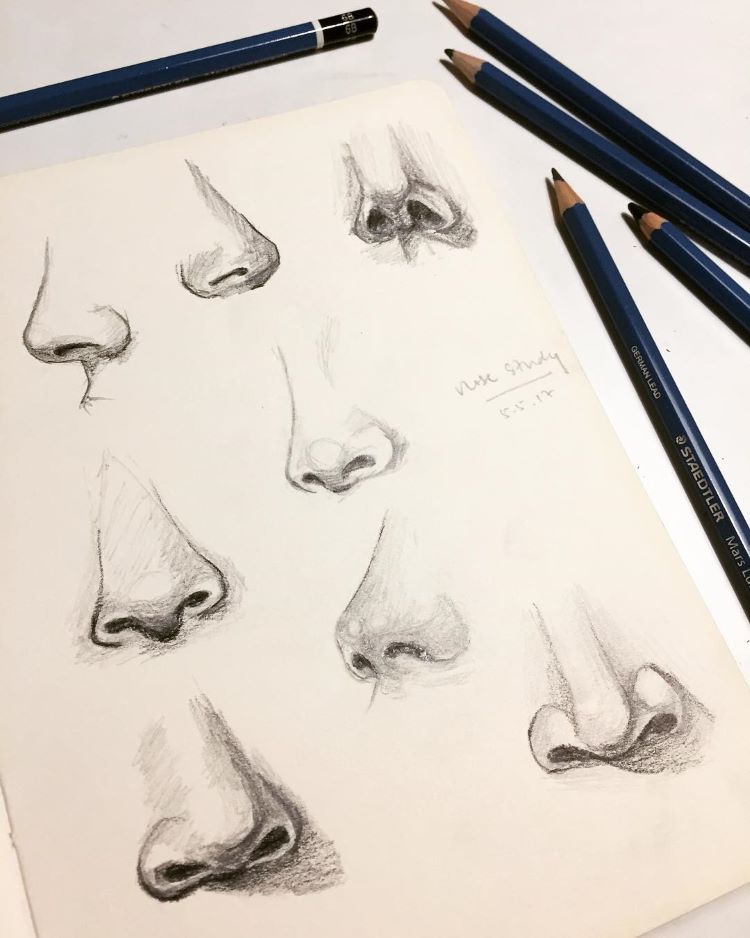 Sketchbook with detailed nose sketches