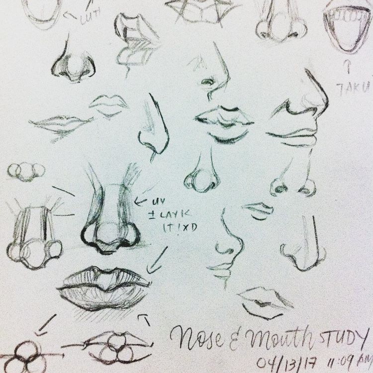 Realst art - drawings of noses