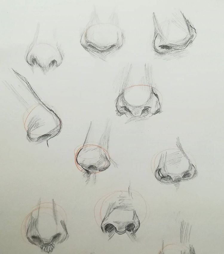 Featured image of post How To Draw A Nose From An Angle - This will help you ensure that the in this line drawing, you can see how the rounded shape mentioned in the previous step is.