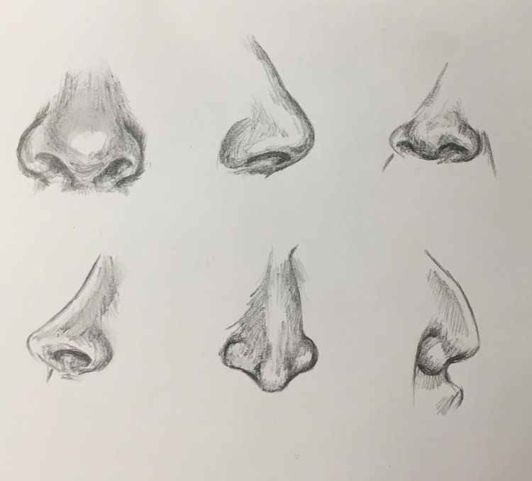 how to draw a realistic human nose