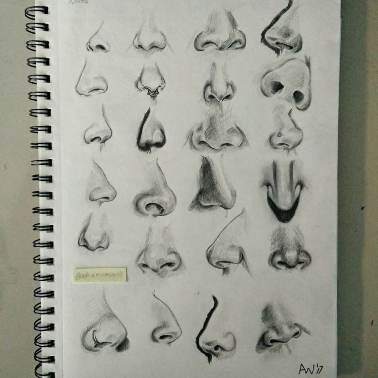 Different Nose Shapes Drawing