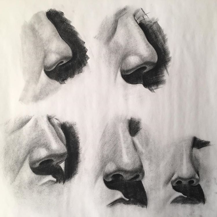 dog nose sketch