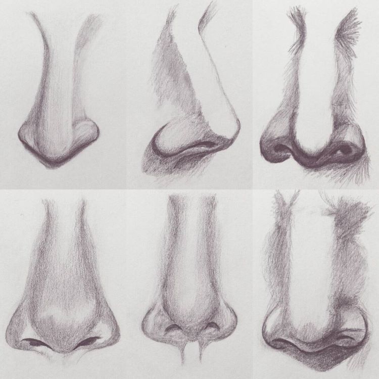Progression of drawing noses