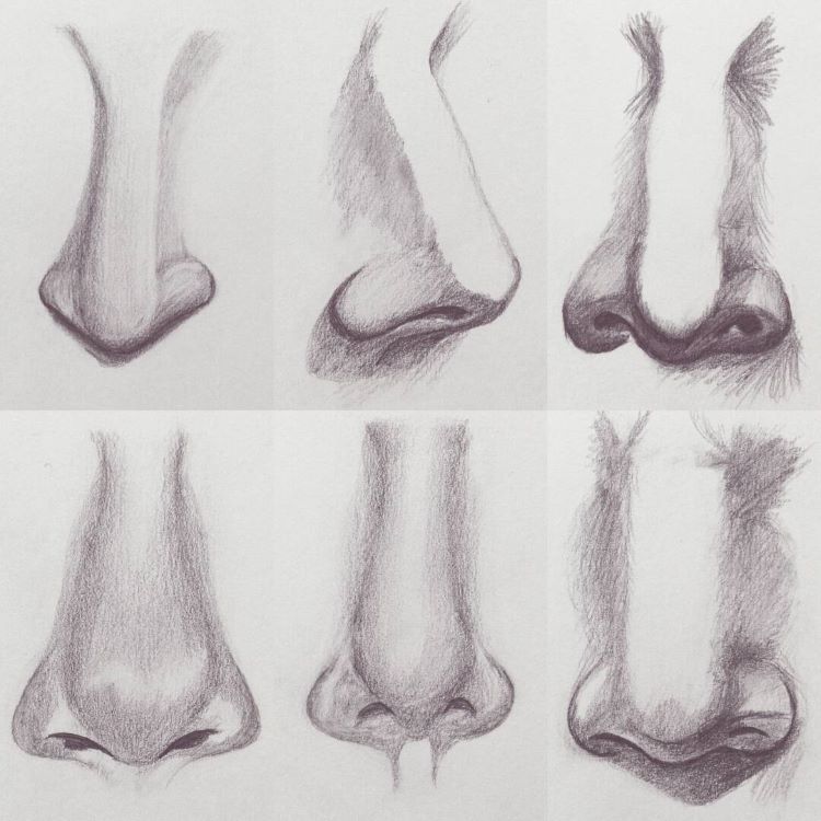 70+ Drawings Of Noses: Sketches, Studies & Sketchbook Examples