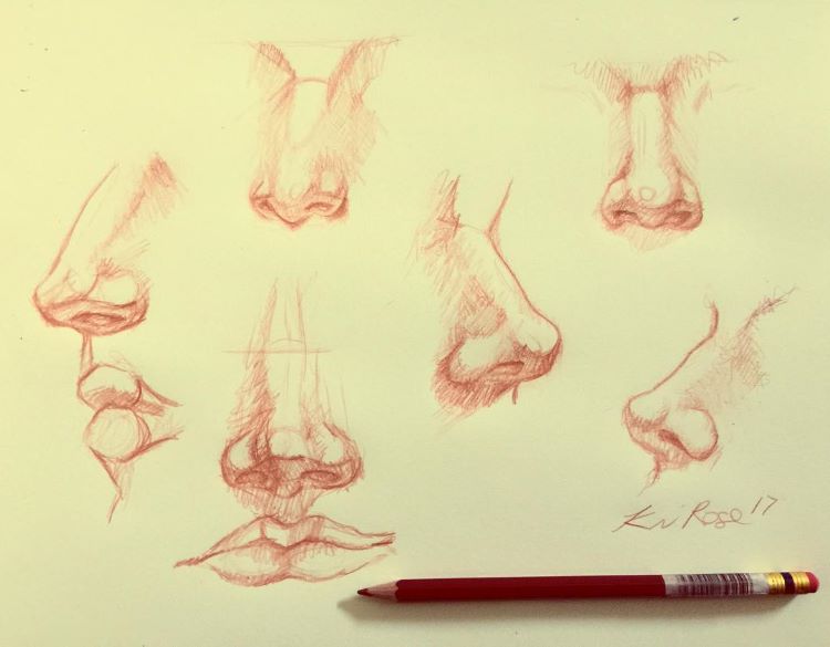 Simple noses and philtrum drawings