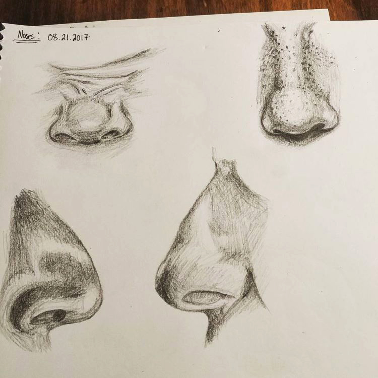 How to Draw a Realistic Nose with Colored Pencils